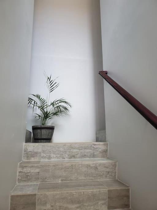 'the Solace' New Luxury Modern 1bed 1bath Apt. * Portmore